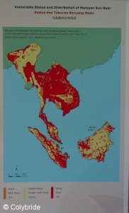 Aire de répartition des Sunbears. Le rouge sur la carte indique où ils ont disparus!!!!